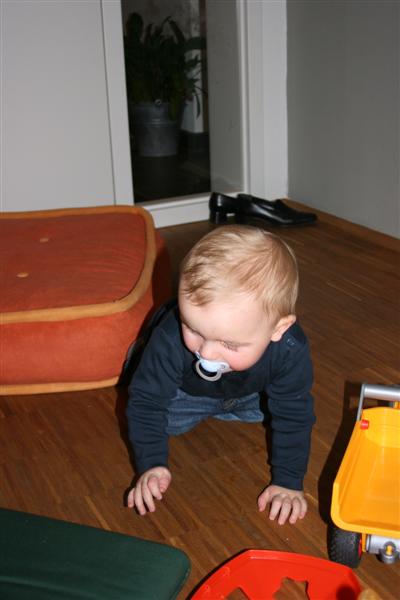 IMG_2975 (Medium)
